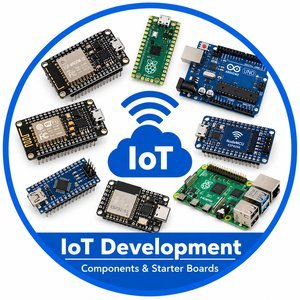IoT Development Boards
